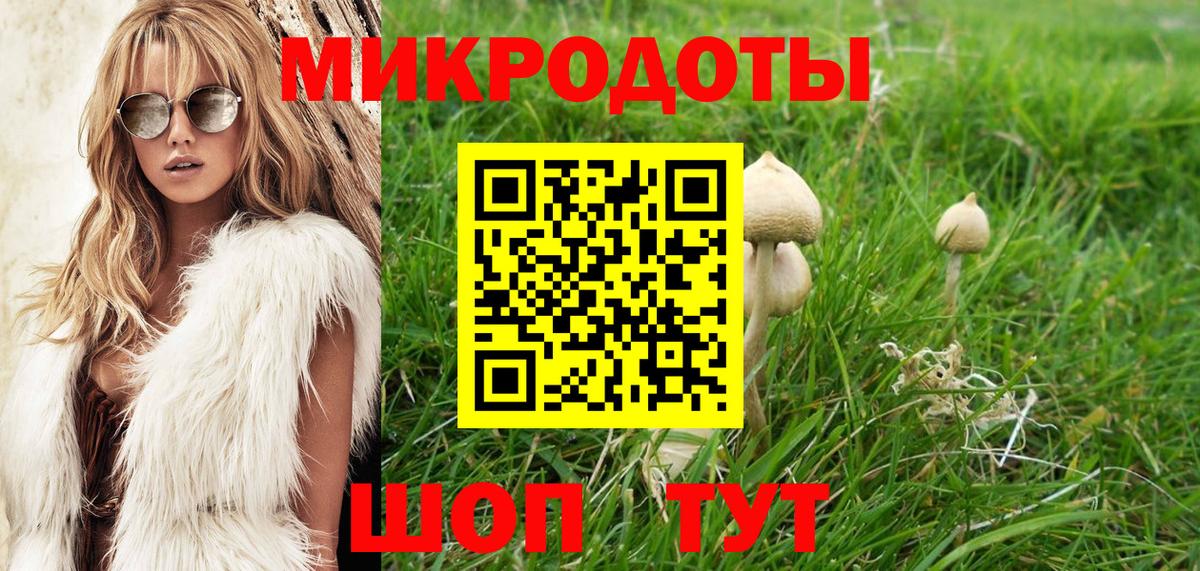 Псилоцибиновые грибы Magic Shrooms Магадан