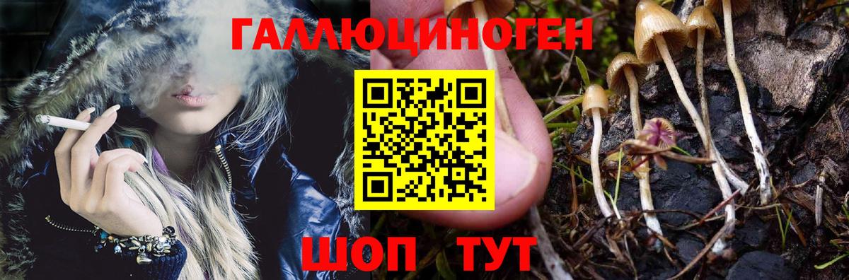 Магадан  где купить наркоту  Вход с VPN  Галлюциногенные грибы прущие грибы 
